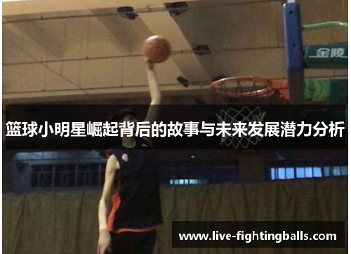 篮球小明星崛起背后的故事与未来发展潜力分析