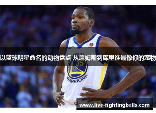 以篮球明星命名的动物盘点 从詹姆斯到库里谁最像你的宠物