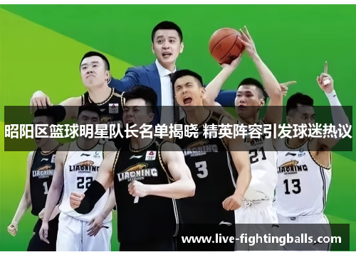 昭阳区篮球明星队长名单揭晓 精英阵容引发球迷热议