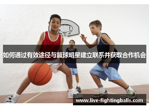 如何通过有效途径与篮球明星建立联系并获取合作机会