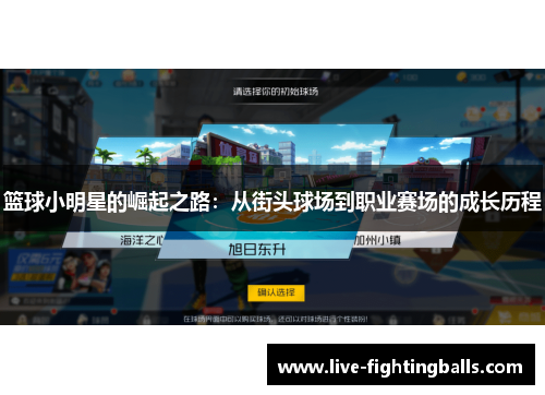 篮球小明星的崛起之路:从街头球场到职业赛场的成长历程