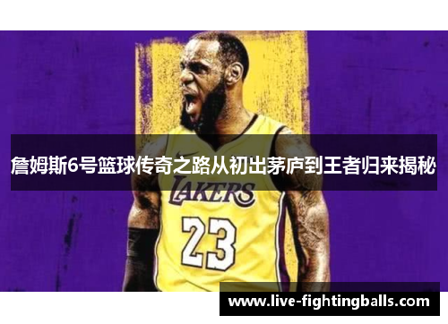 詹姆斯6号篮球传奇之路从初出茅庐到王者归来揭秘