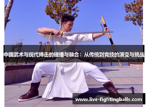 中国武术与现代搏击的碰撞与融合：从传统到竞技的演变与挑战