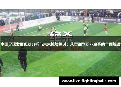 中国足球发展现状分析与未来挑战探讨:从青训到职业联赛的全面解读