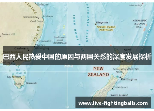 巴西人民热爱中国的原因与两国关系的深度发展探析