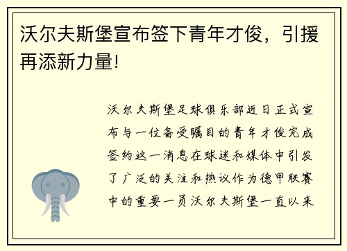 沃尔夫斯堡宣布签下青年才俊，引援再添新力量!